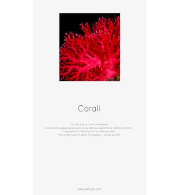 bienfaits et vertus du corail - sathyne bijoux