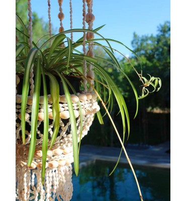 suspension en coquillage pour plante ou bougeoirs