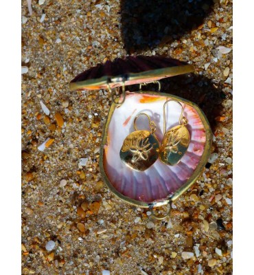 boucles d'oreilles dans un écrin de coquillage, dollar des sables or