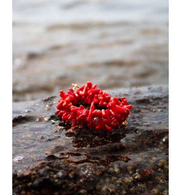 collier en corail rouge sathyne bijoux
