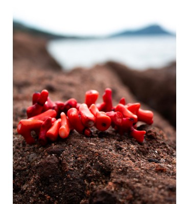 bracelet corail rouge sathyne bijoux