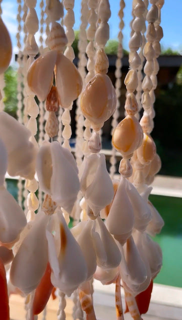 Mobile en coquillages, Sathyne 