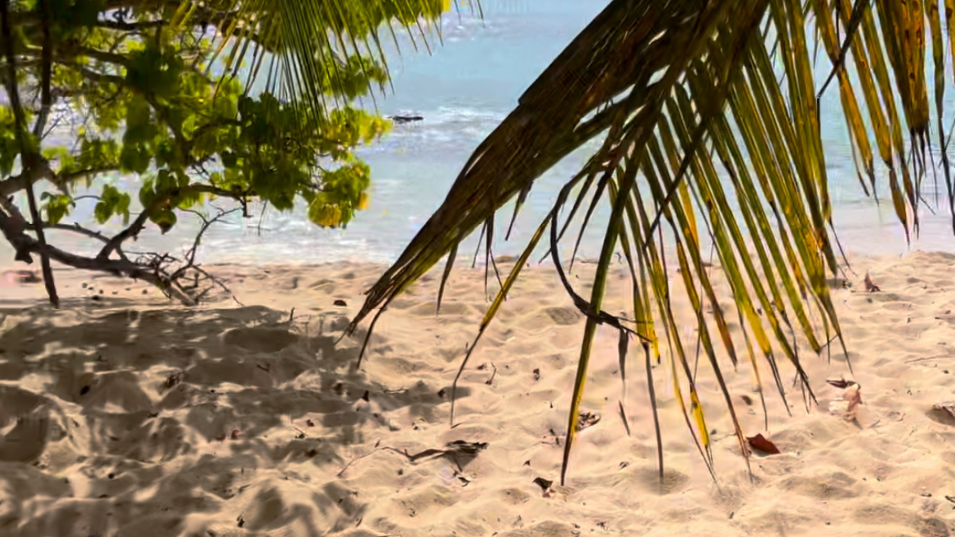 plage de guadeloupe port louis
