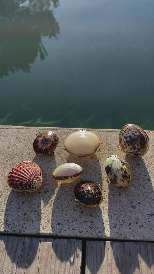 écrin à bijoux en coquillage