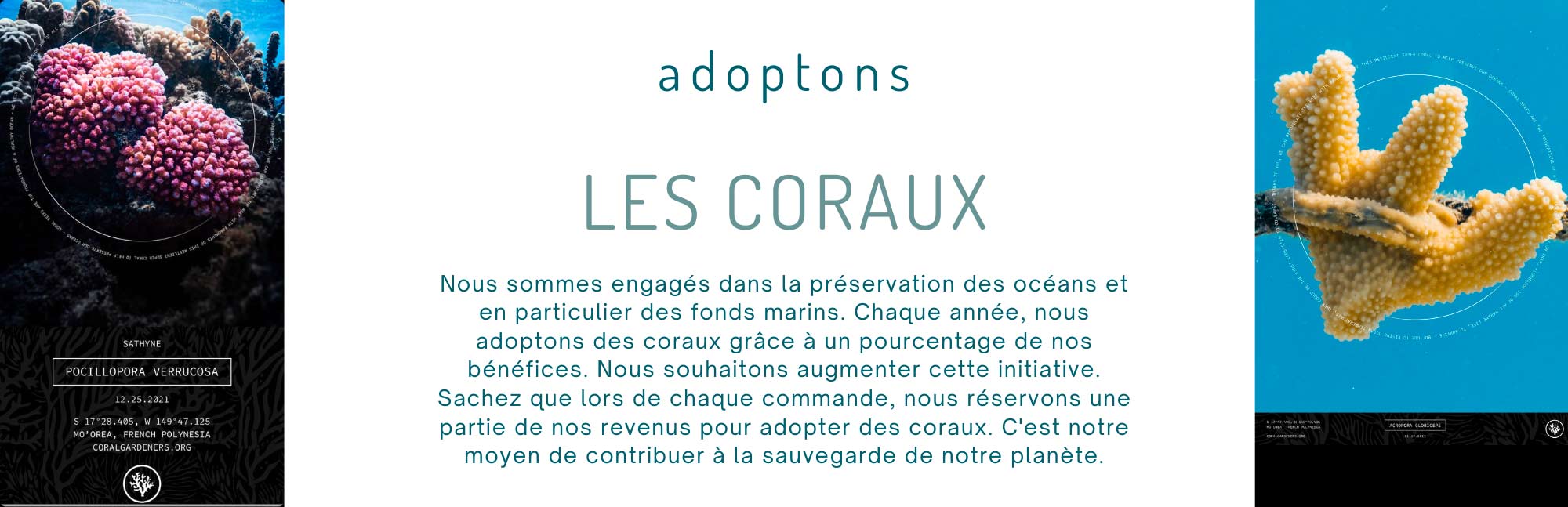 adoptez un corail sauvegarde des océans