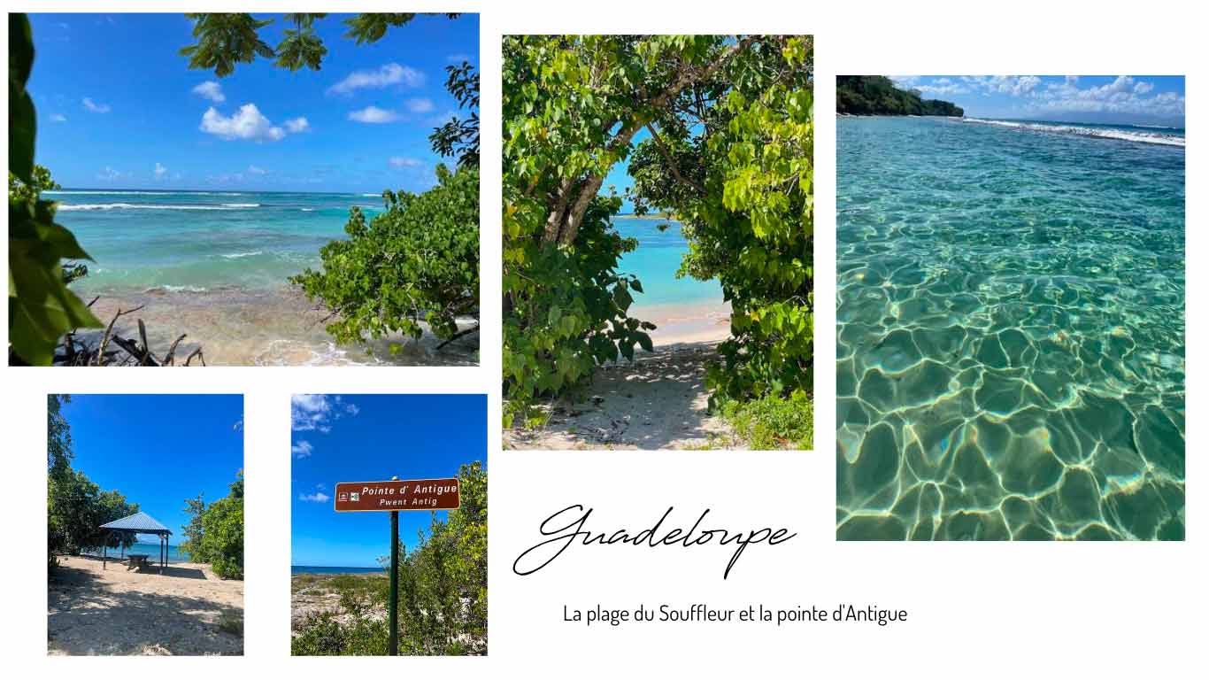 plus belle plage de la guadeloupe