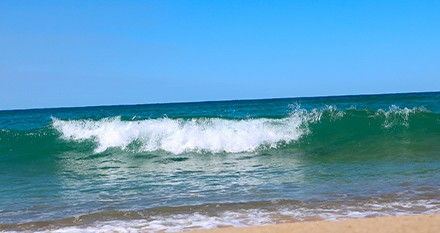 Les Landes en Septembre