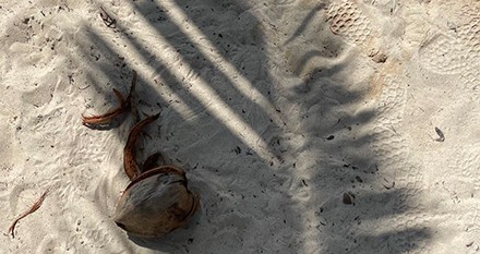Ou trouver les plus belles plages du monde?